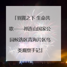 羽翼之下 生命共歌——祁连山国家公园候选区青海片区鸟类观察手记